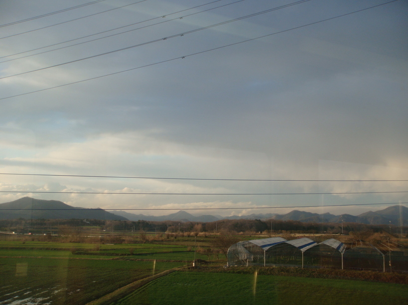 �{���Č����L