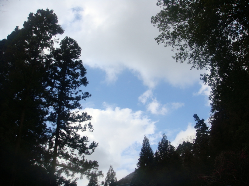 �{���Č����L