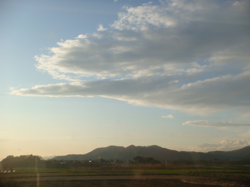 �{���Č����L