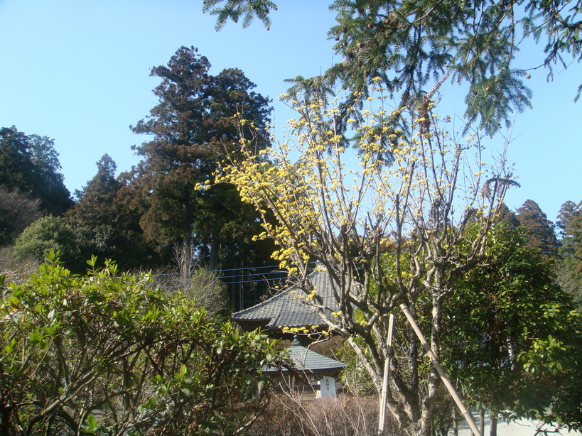 �{���Č����L