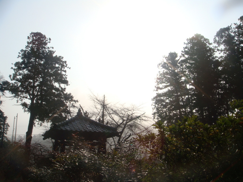 �{���Č����L