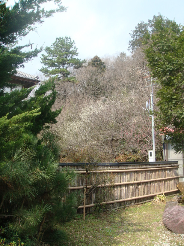 �{���Č����L