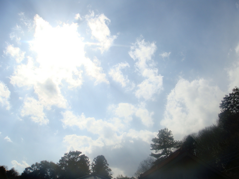 �{���Č����L