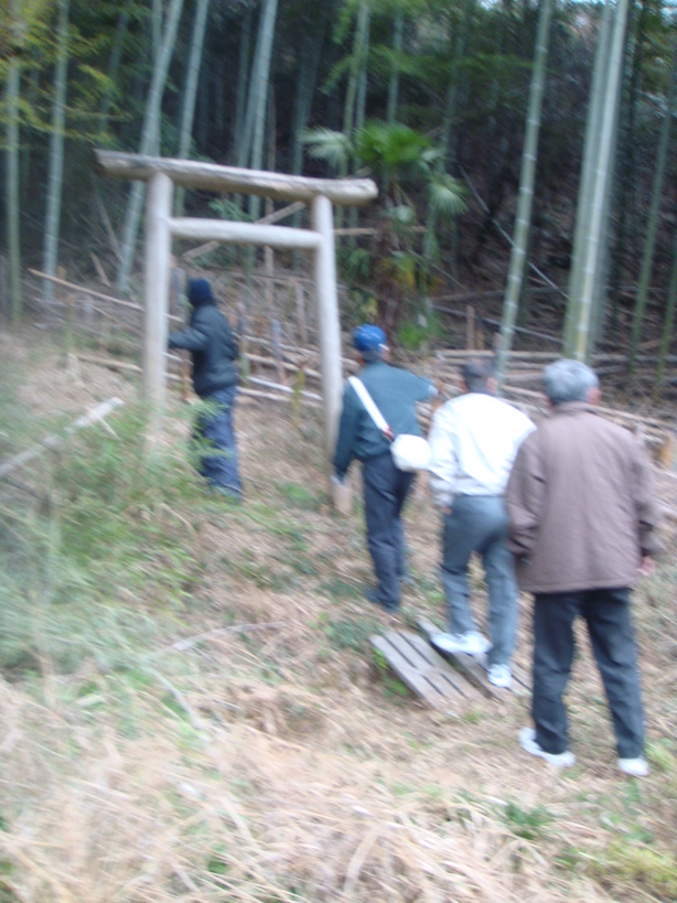 �{���Č����L