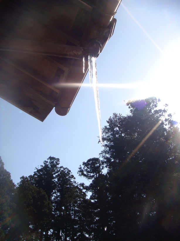 �{���Č����L