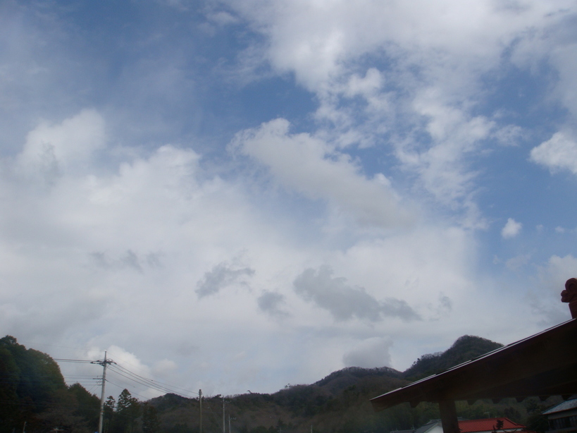 �{���Č����L