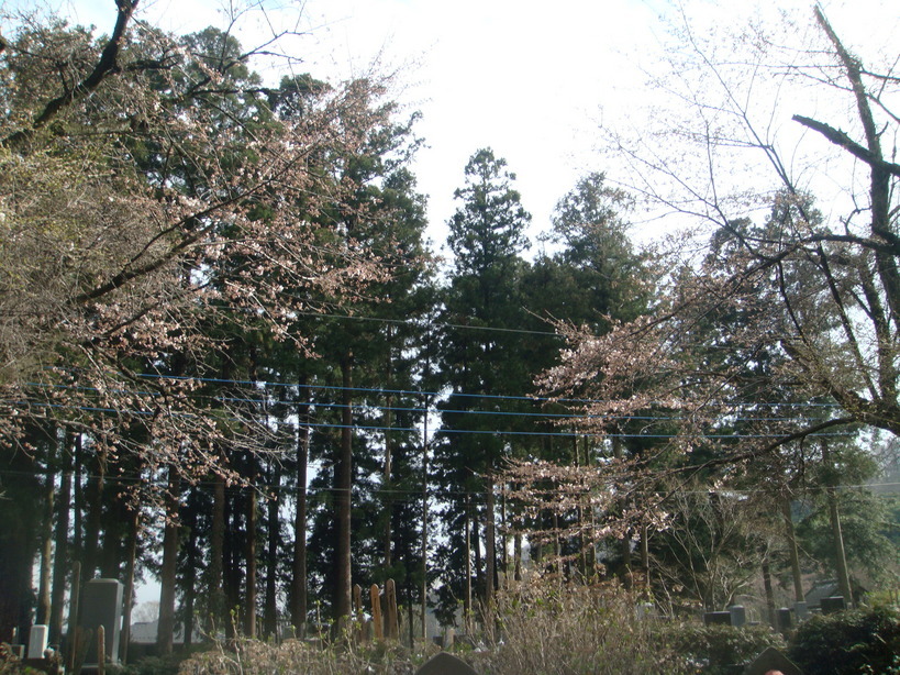 �{���Č����L