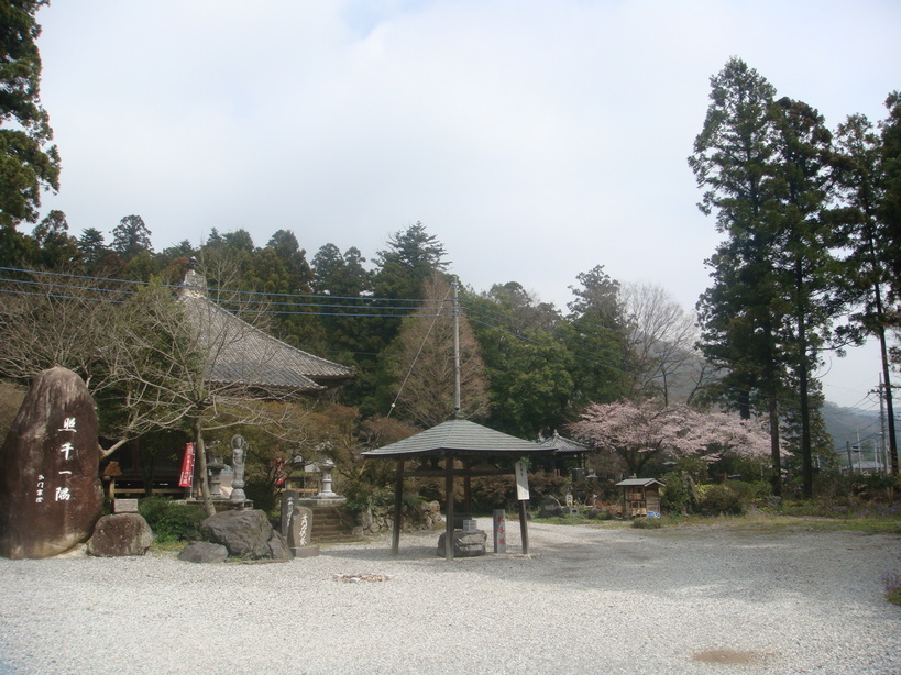 �{���Č����L