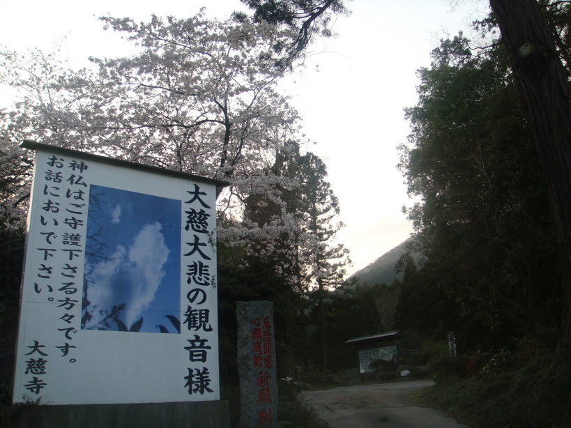 �{���Č����L