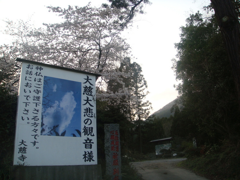 �{���Č����L