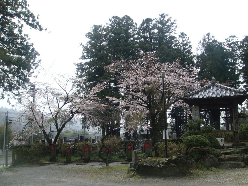 �{���Č����L