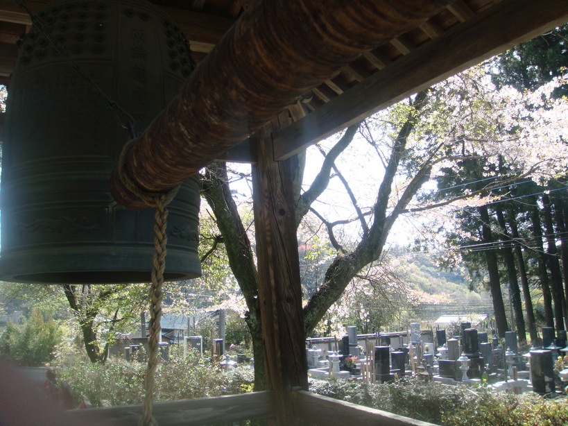 �{���Č����L