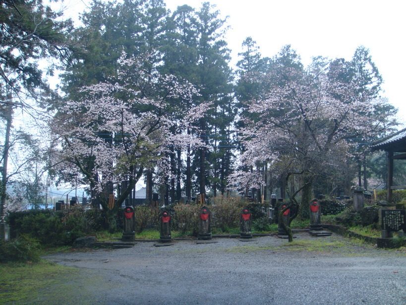 �{���Č����L