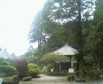 �{���Č����L