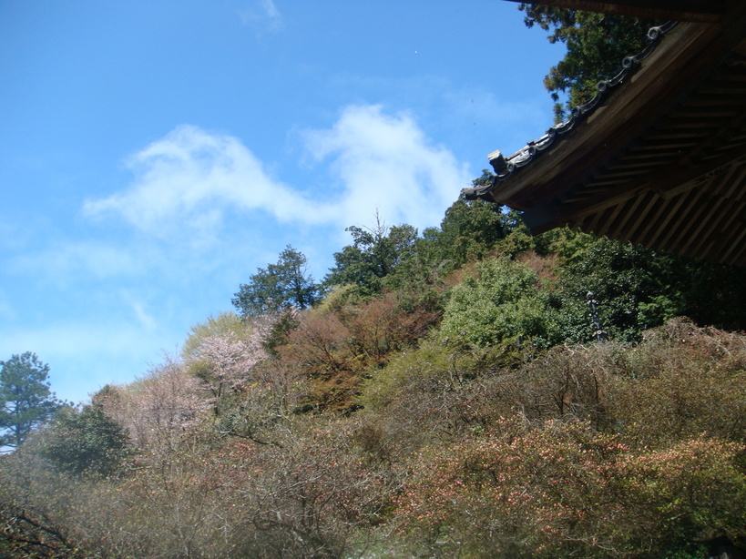 �{���Č����L