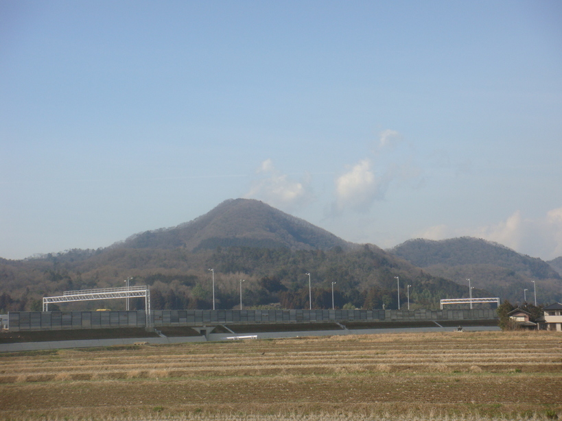 �{���Č����L