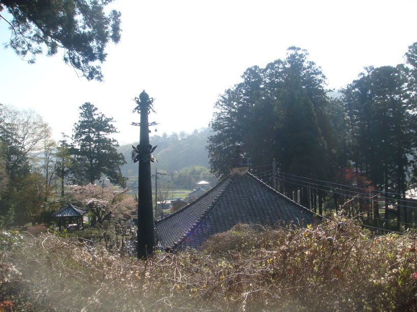 �{���Č����L