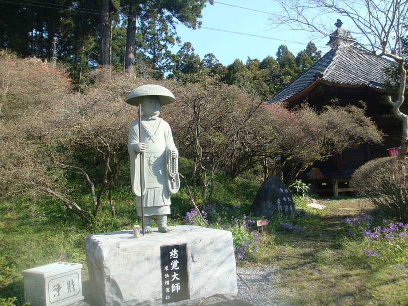 �{���Č����L