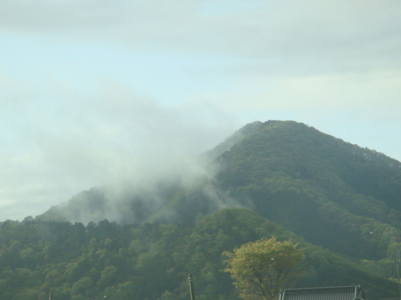 �{���Č����L