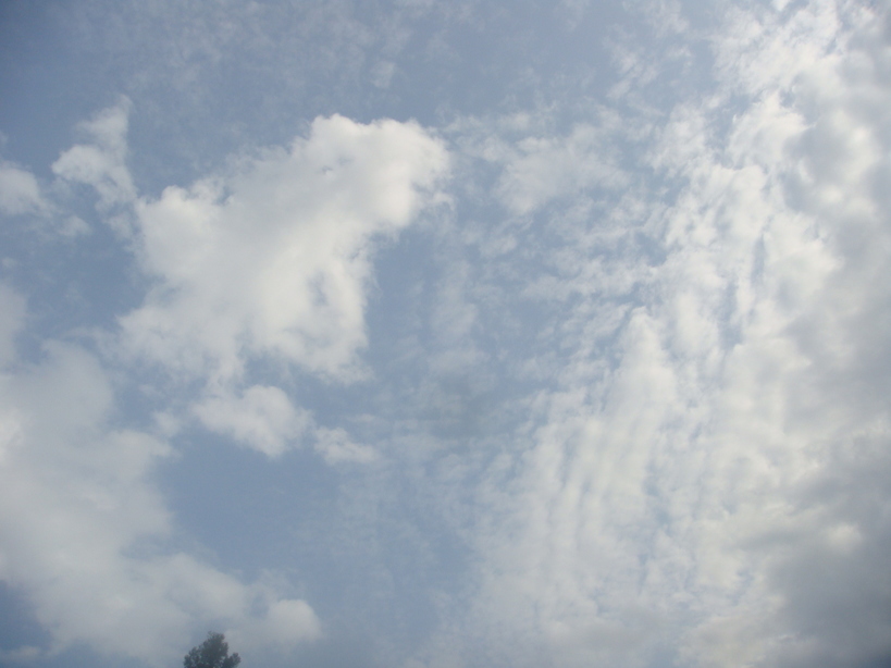 �{���Č����L