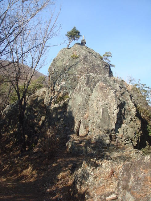 �{���Č����L