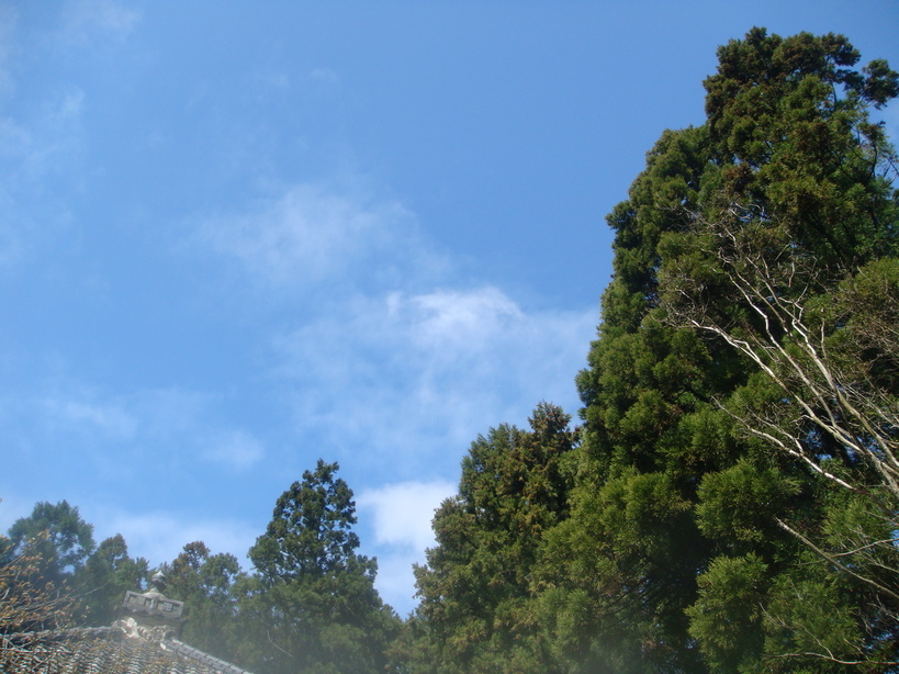 �{���Č����L