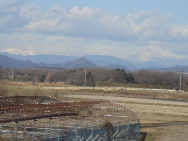 �{���Č����L