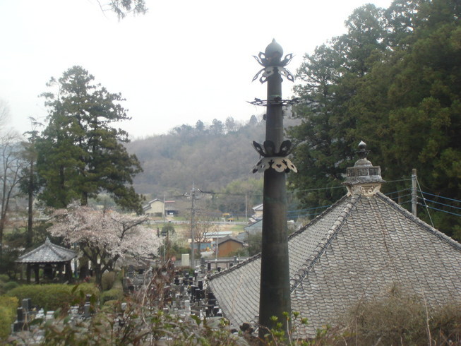 �{���Č����L