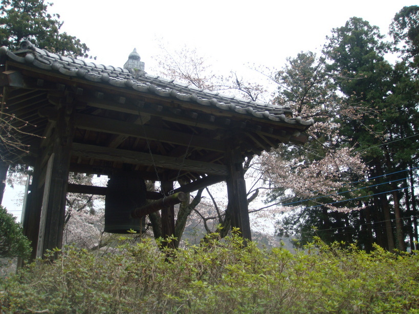 �{���Č����L