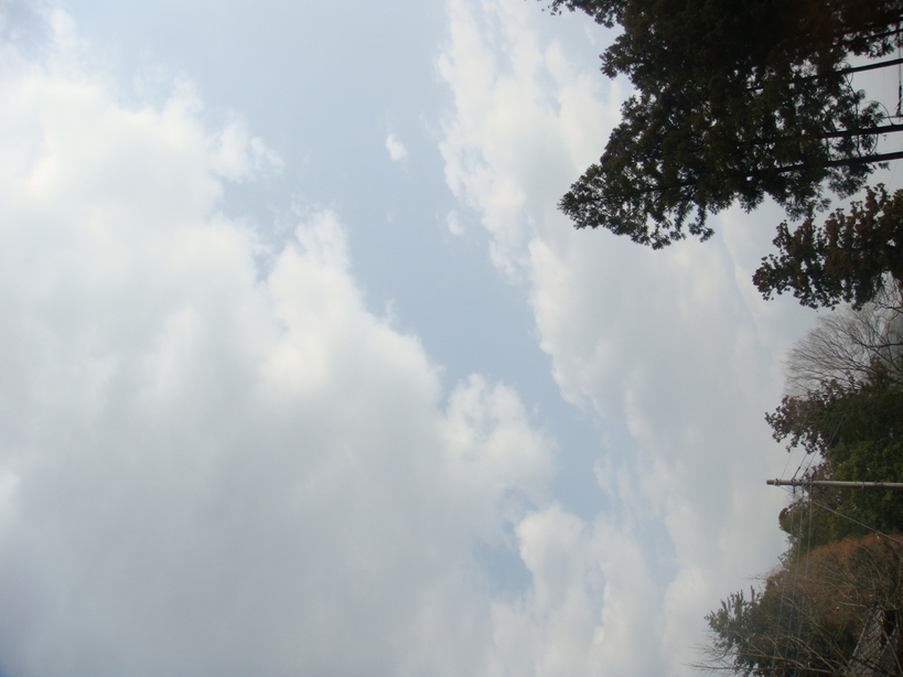 �{���Č����L