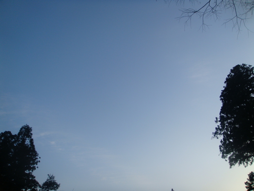 �{���Č����L