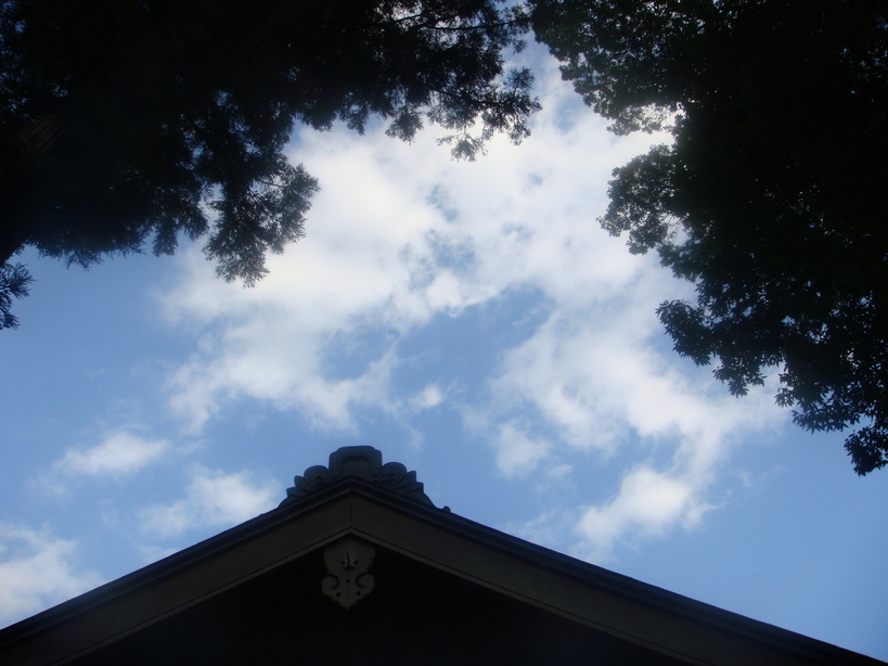 �{���Č����L