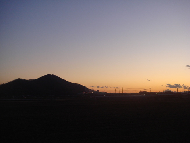 �{���Č����L