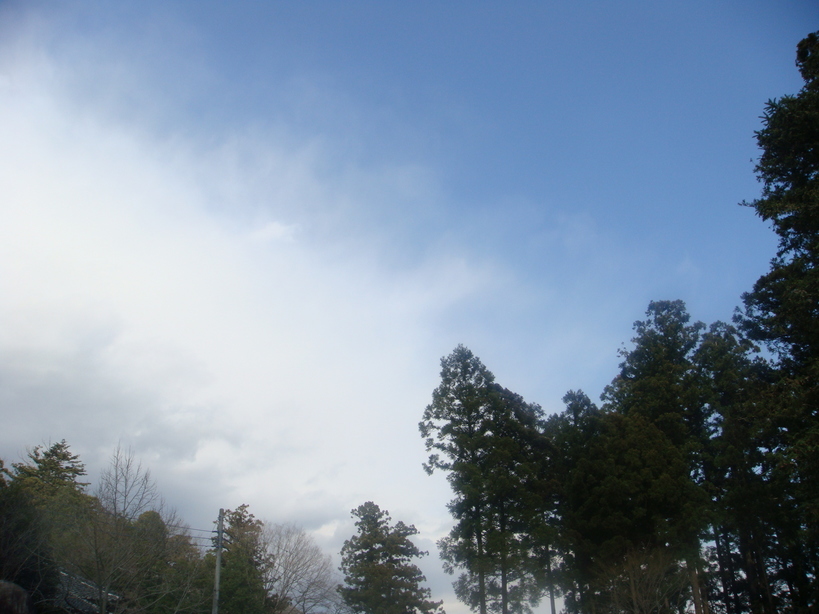 �{���Č����L