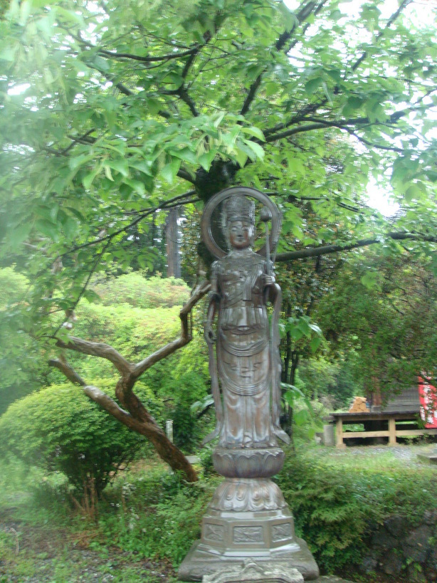 �{���Č����L