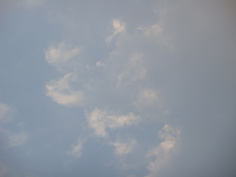 �{���Č����L