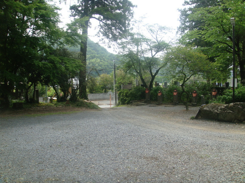 �{���Č����L