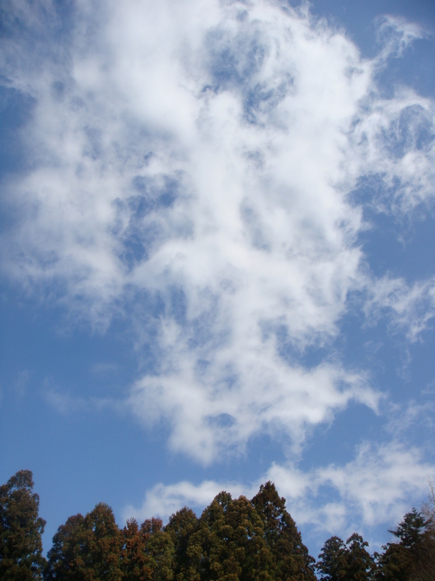 �{���Č����L