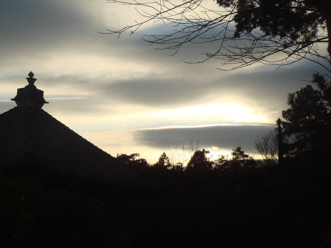 �{���Č����L