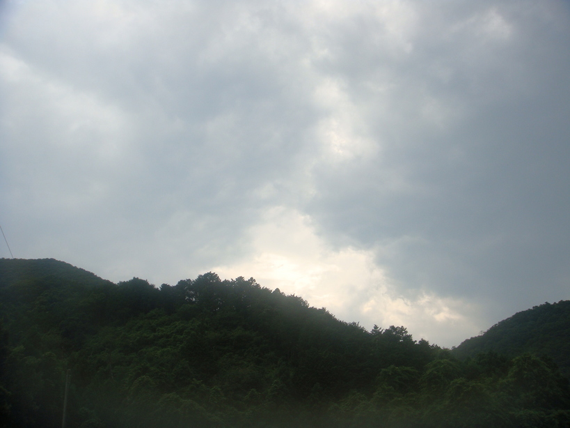 �{���Č����L