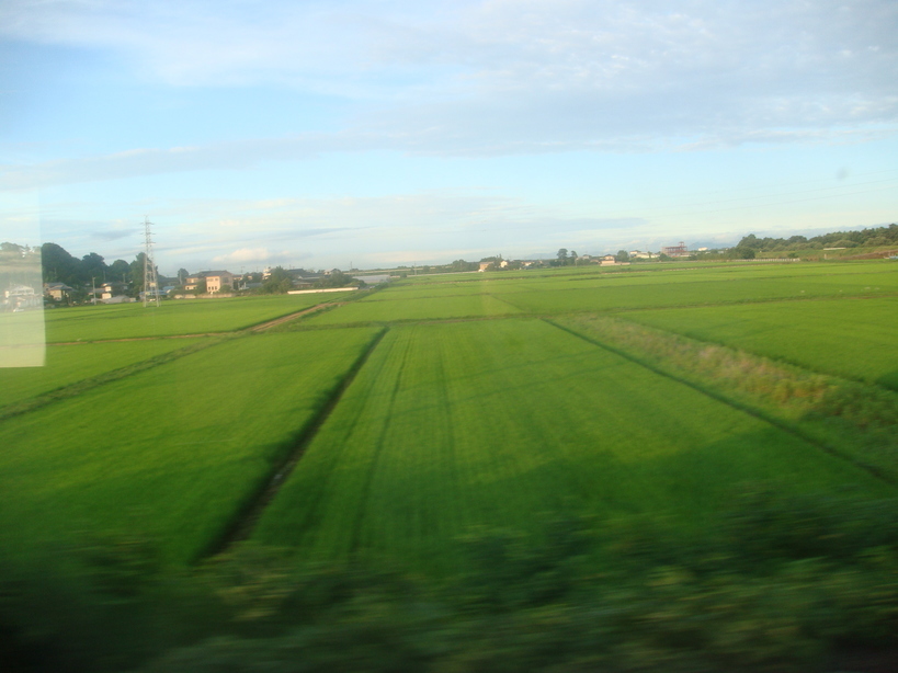 �{���Č����L