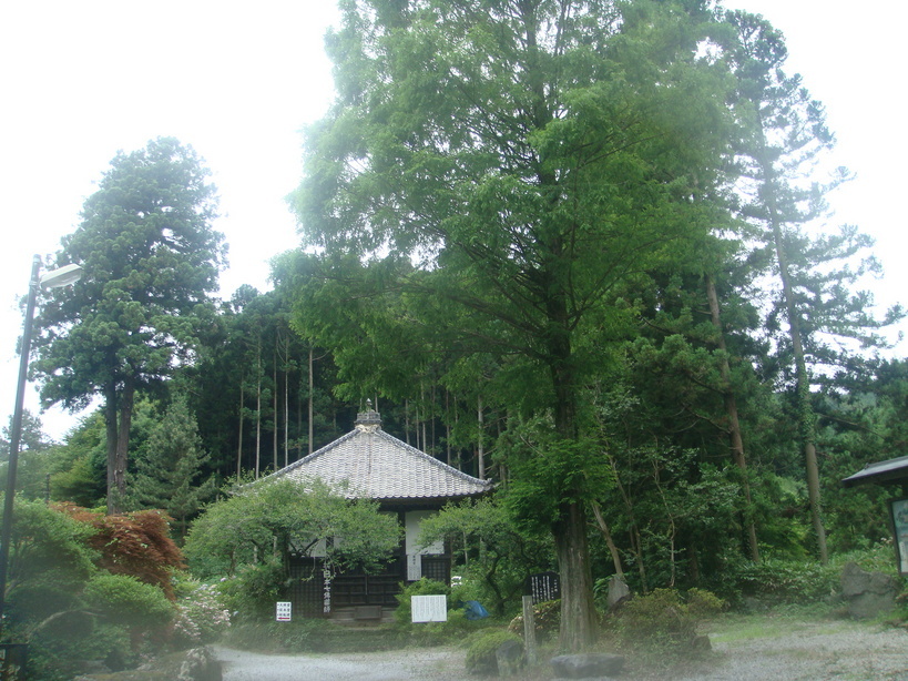 �{���Č����L