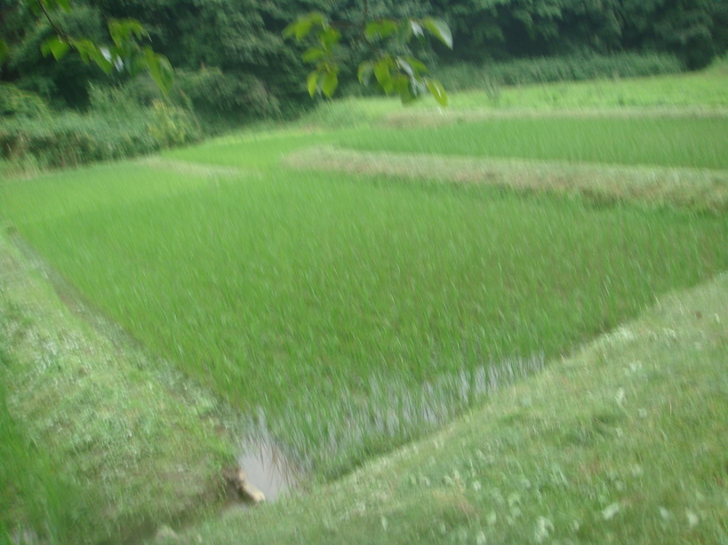 �{���Č����L