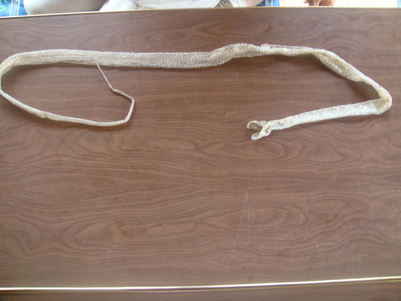 �{���Č����L