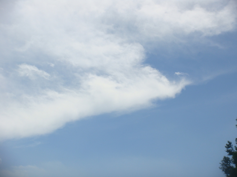 �{���Č����L