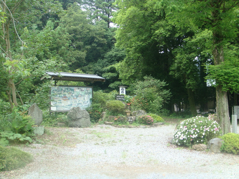 �{���Č����L