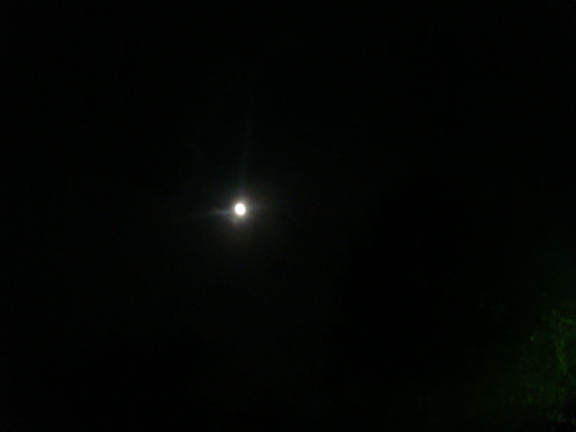 �{���Č����L