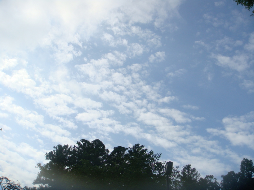 �{���Č����L