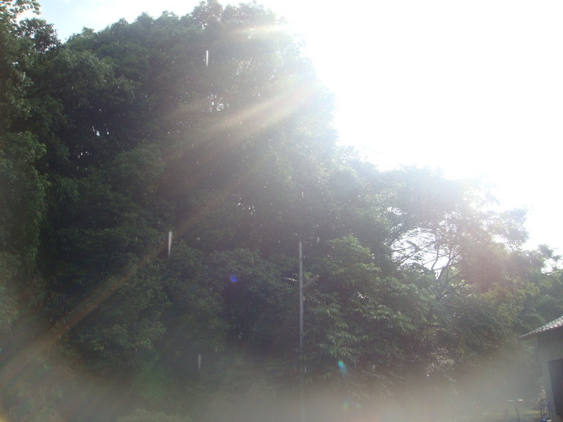 �{���Č����L