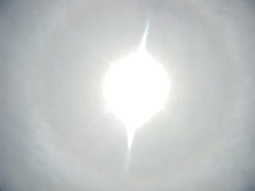 �{���Č����L